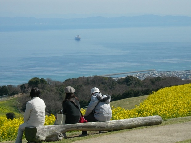 あわじ花さじき11.jpg