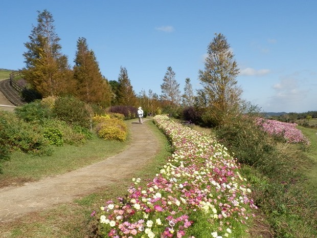 あわじ花さじき12.jpg