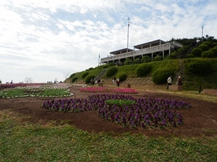 あわじ花さじき4.jpg