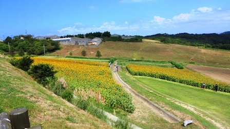 あわじ花さじき5.jpg