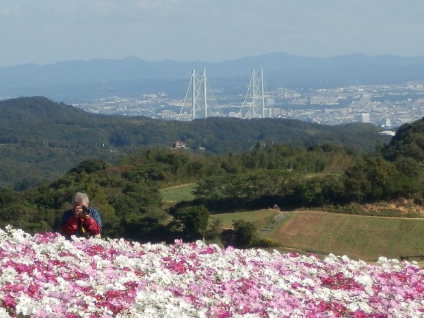 あわじ花さじき7.jpg