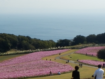 あわじ花さじき9.jpg