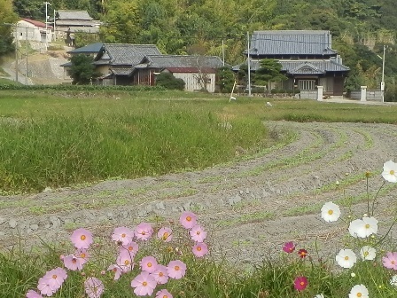ホタルカフェ21.jpg