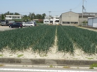 ローソン慶野松原店10.jpg