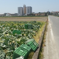 ローソン慶野松原店5.jpg