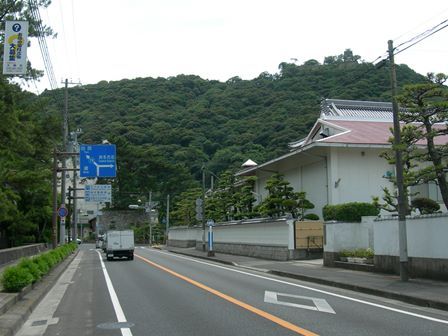 南淡路水仙ライン11.jpg