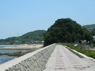 大和島19.jpg