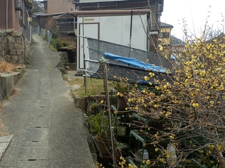 室津地区13.jpg