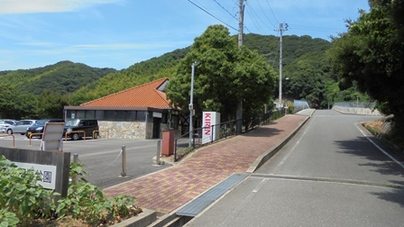 楠本断層5.jpg