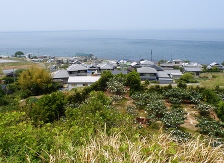 淡路島サイクリング26.jpg