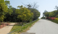 淡路島公園10.jpg