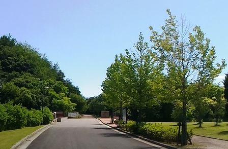 淡路島公園16.jpg