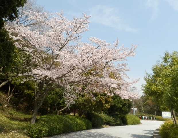 淡路島公園2.jpg