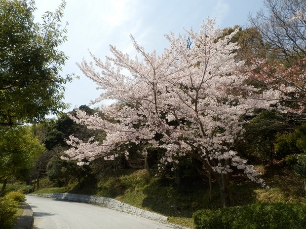 淡路島公園3.jpg