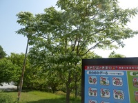 淡路島公園4.jpg