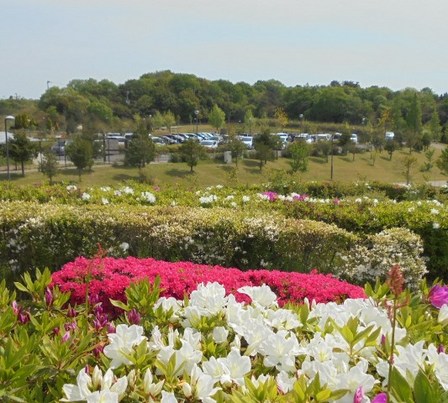 淡路島公園4.jpg