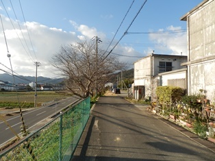 淡路鉄道26.jpg