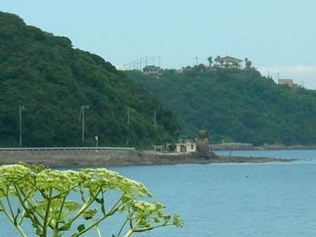 県道25号線12.jpg