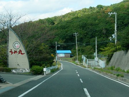 県道25号線5.jpg