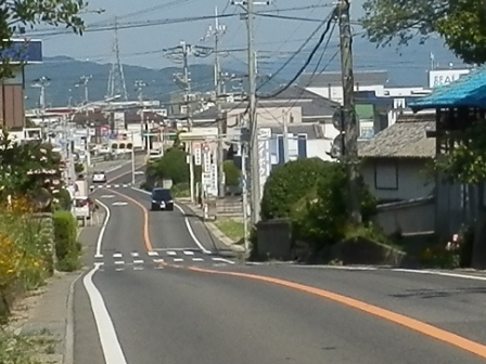 県道25号線6.jpg