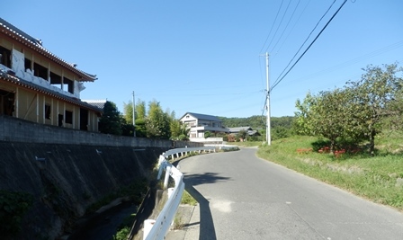 県道474号線13.jpg