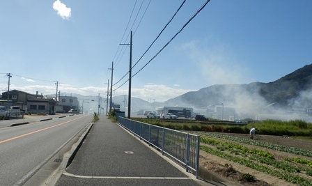 県道474号線18.jpg