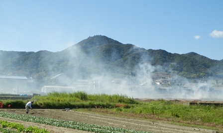 県道474号線19.jpg