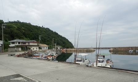 県道476号線19.jpg