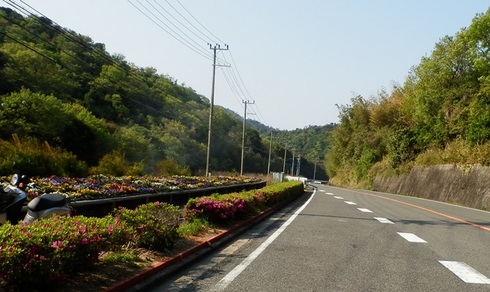 道の駅うずしお14.jpg