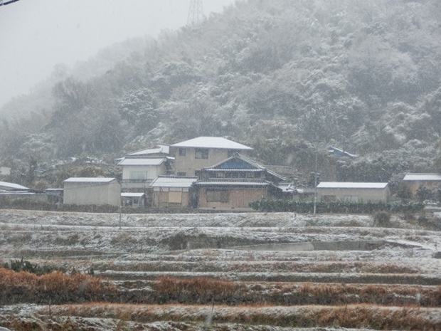 野島地区4.jpg