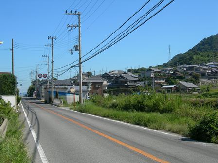 野島平林地区1.jpg