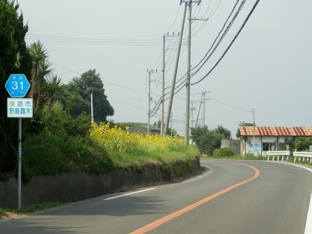 野島轟木2.jpg