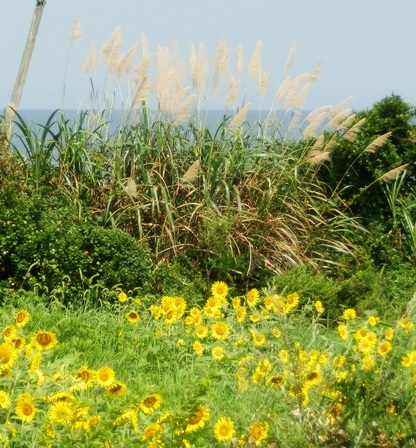 鳥飼浦6.jpg