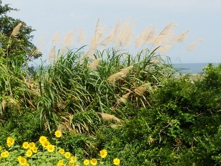 鳥飼浦7.jpg