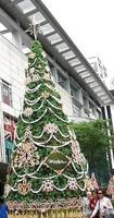 20081223-クリスマスツリー.JPG