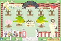 20090315-不思議な庭.JPG