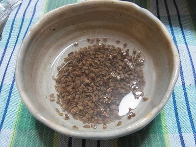 flaxseed②.JPG