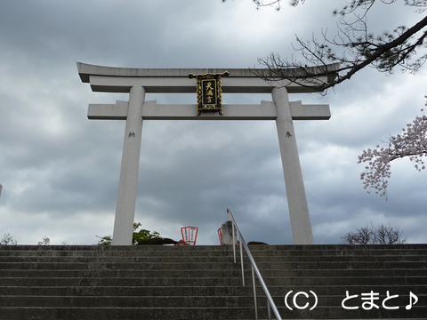 長岡天満宮 正面大鳥居