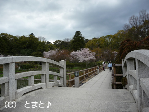 長岡天満宮 参道