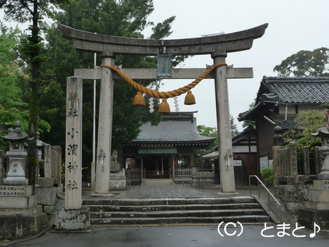 小浜神社 鳥居