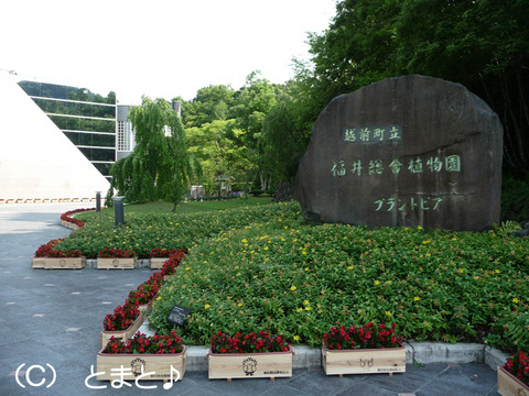 福井総合植物園 プラントピア