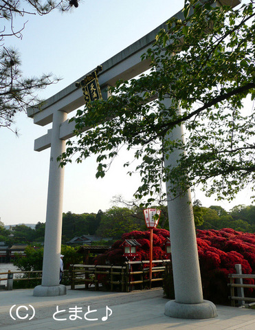 長岡天満宮