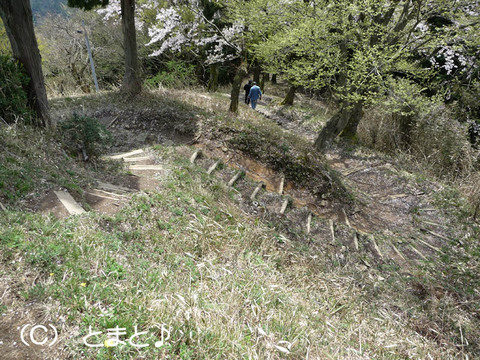 帰りの山道