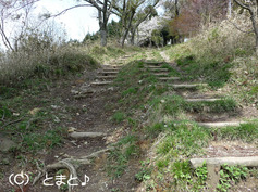 リフトを降りてからの山道