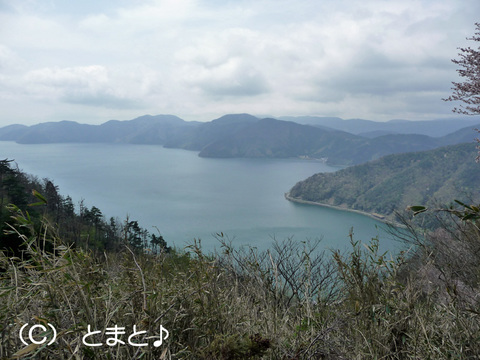 賤ヶ岳山頂へ向かう山道から余呉湖を望む