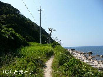 立石岬灯台への道３
