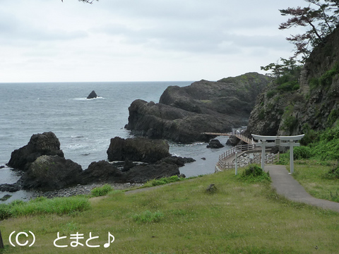 越前松島