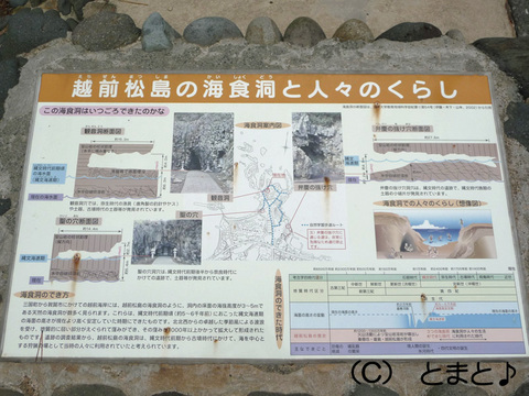 越前松島の海食洞