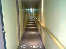 １等船室通路.JPG