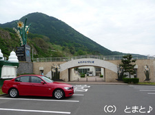 越前水仙の里公園